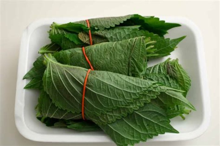 Can you eat sesame leaves?