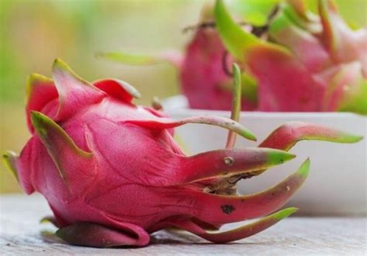 Can you eat the skin of dragon fruit?