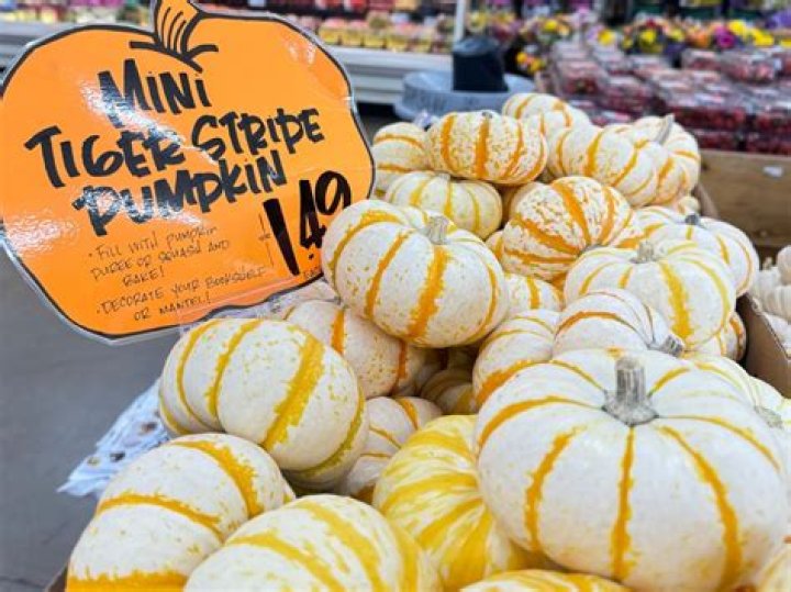 Can you eat tiger striped pumpkins?