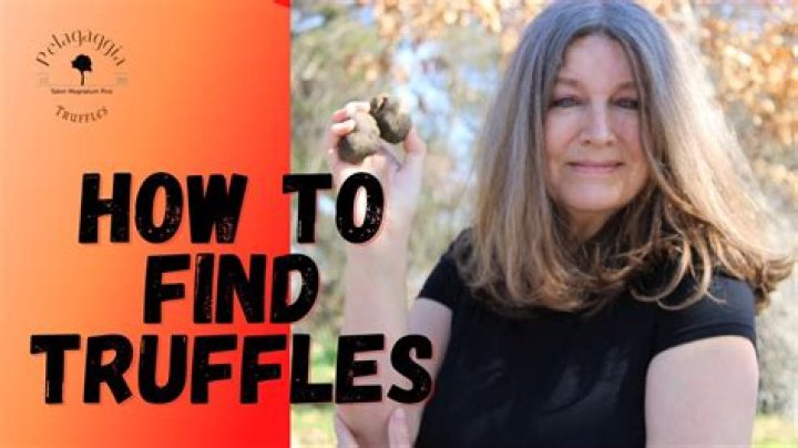 Can you find truffles in PA?