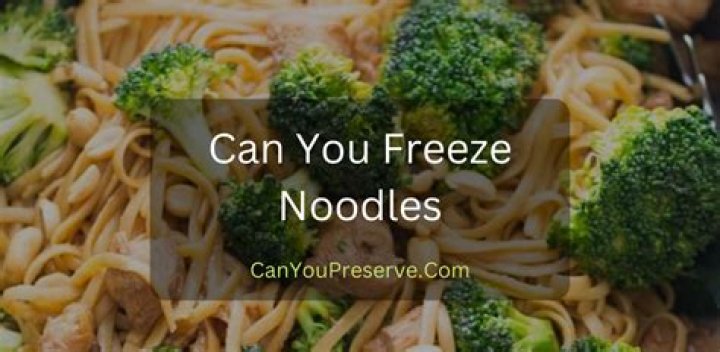 Can you freeze beef & noodles?