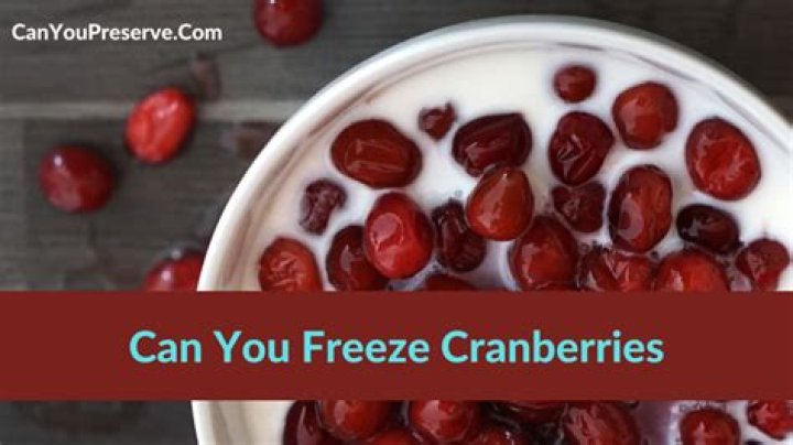 Can you freeze Craisins?