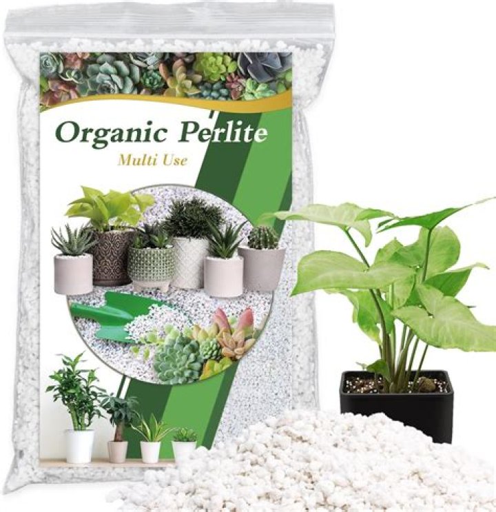 Can you grow plants in regular dirt?