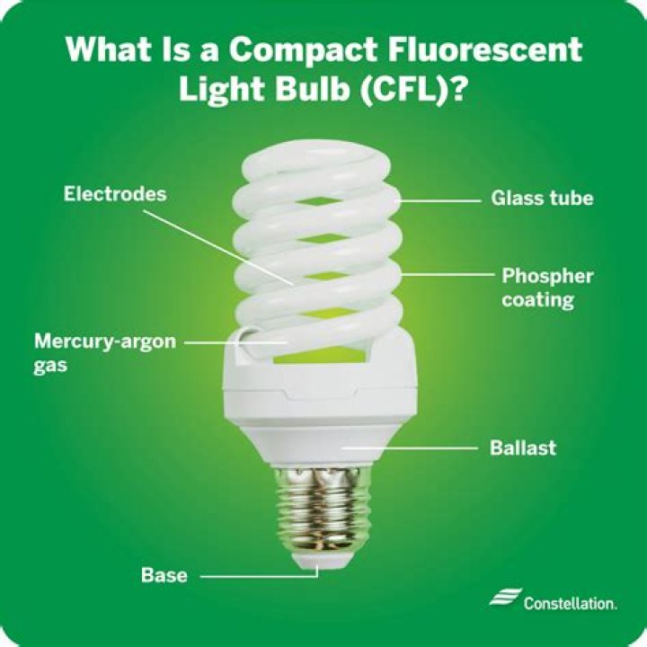 Can you paint a fluorescent light bulb?