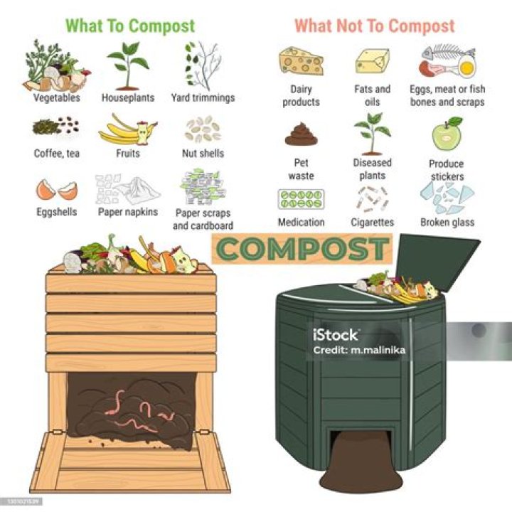 Can you put bones in compost bin?