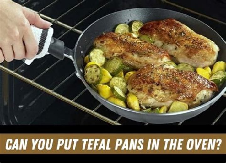 Can you put Tefal pans in the oven?