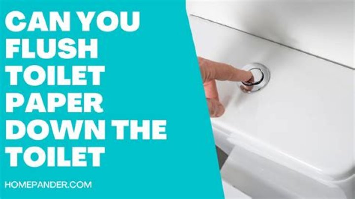 Can you put toilet paper down the toilet in Venice?