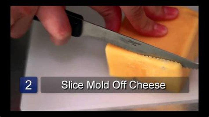 Can you scrape mold off ricotta cheese?