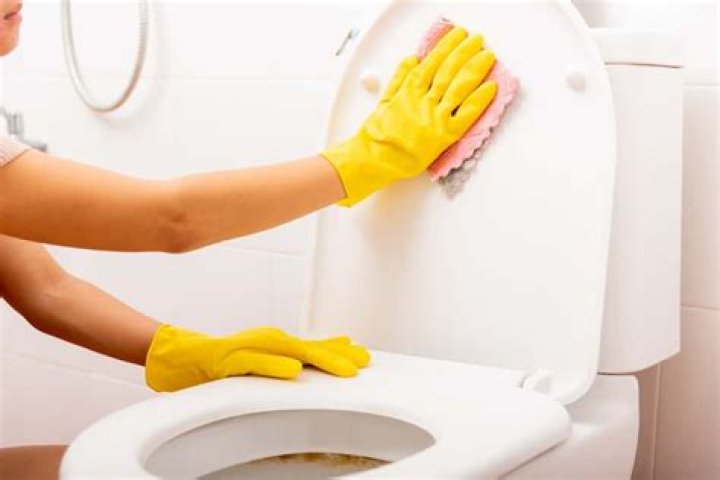 Can you use bleach on toilet seat?