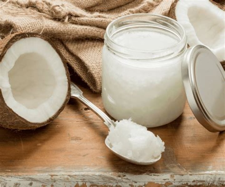 Can you use coconut oil instead of suet?