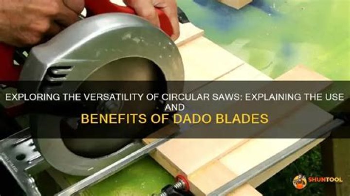 Can you use dado blade circular saw?