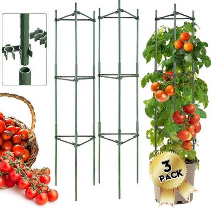 Can you use tomato cages for green beans?