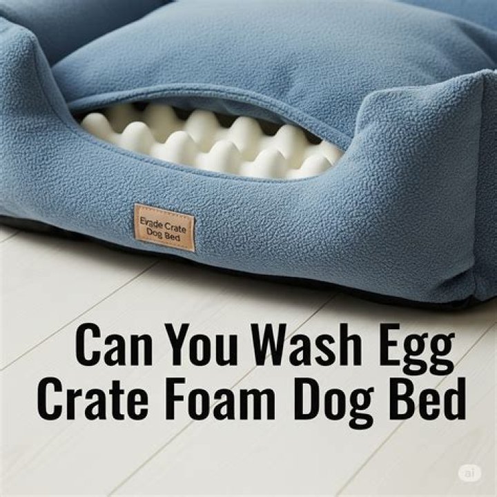 Can you wash egg crate foam dog bed?