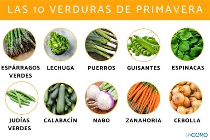 ¿Cuáles son las verduras y las legumbres?