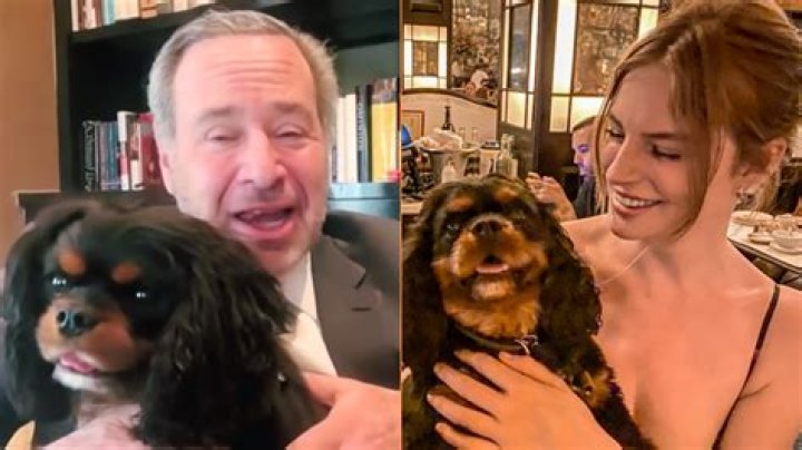 David Frum’s Wife Danielle Crittenden – Two Daughter, and One Son