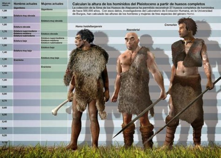Denisovans Height And Weight