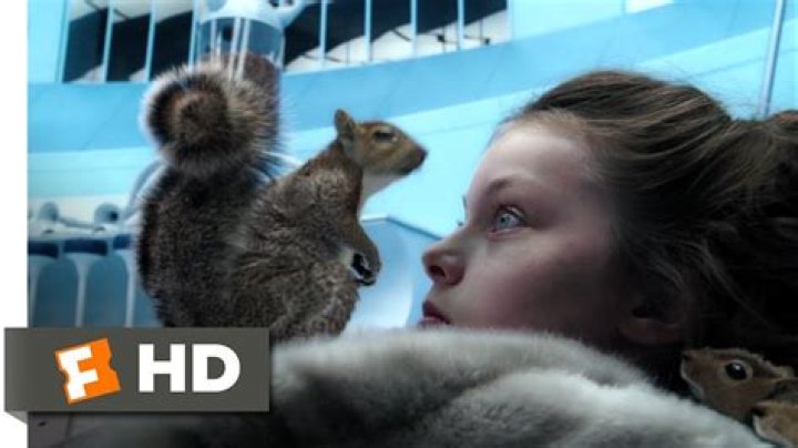 Did Willy Wonka use real squirrels?