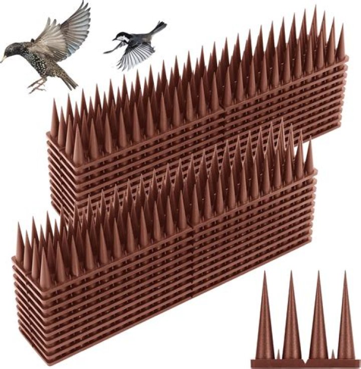 Do bird spikes work for squirrels?