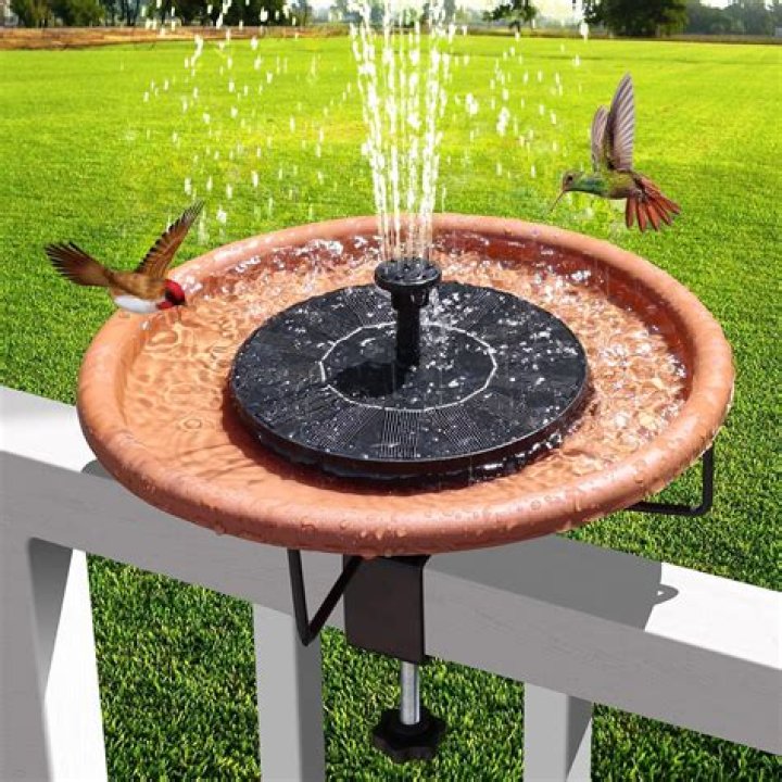 Do birds like fountain bird baths?