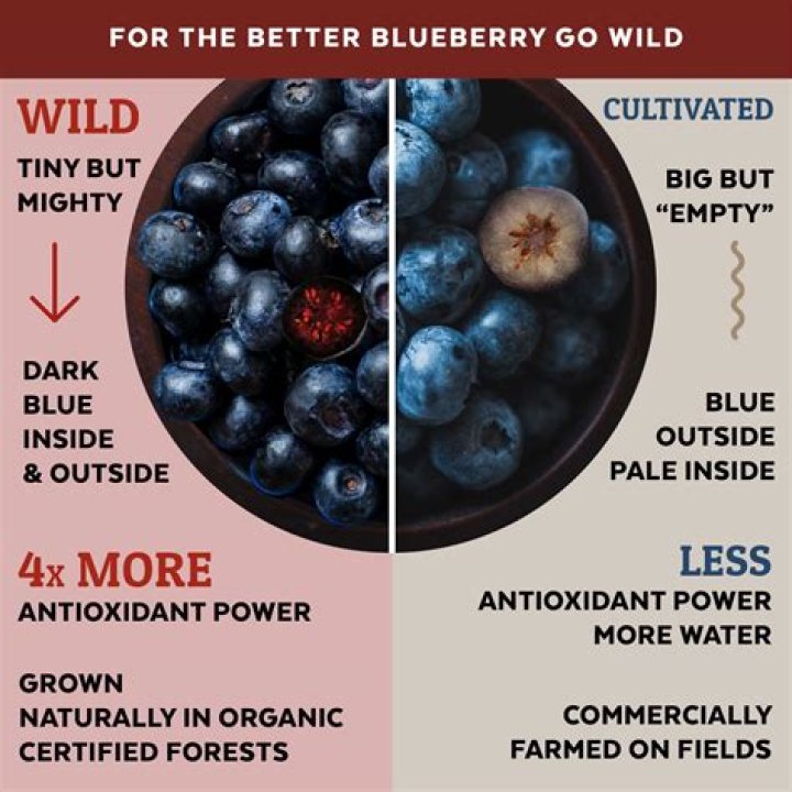 Do blueberries help detox your body?