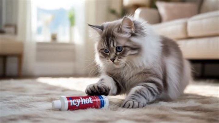 Do cats like Icy Hot?