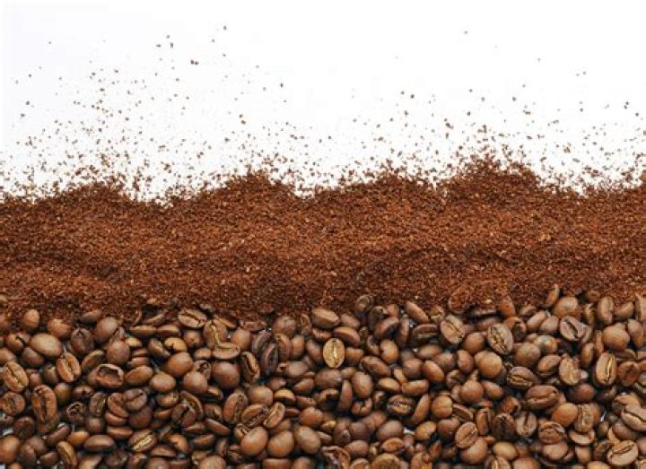 Do coffee grounds decompose in a septic tank?