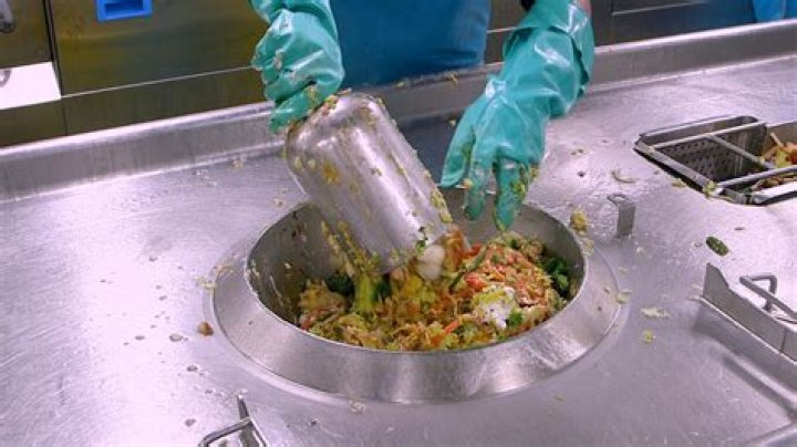 Do cruise ships dump food?