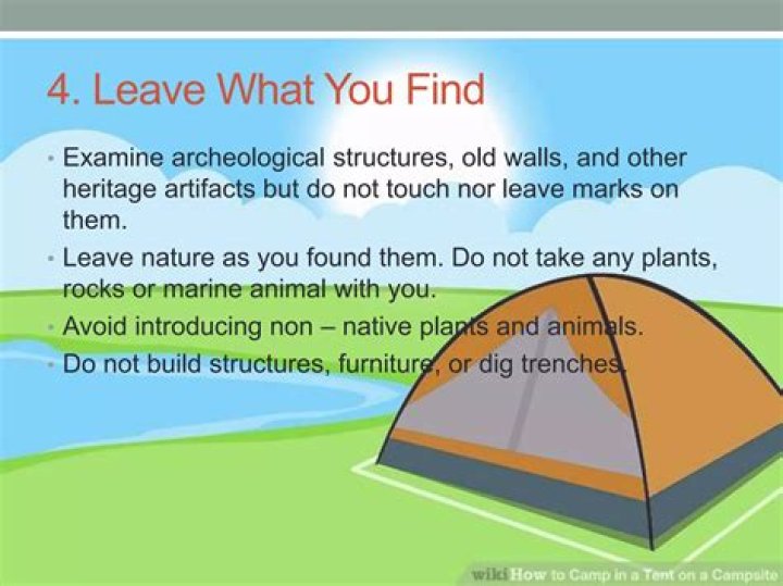 Do flies leave marks on walls?