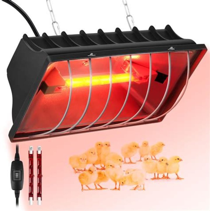 Do goats need heat lamps in the winter?