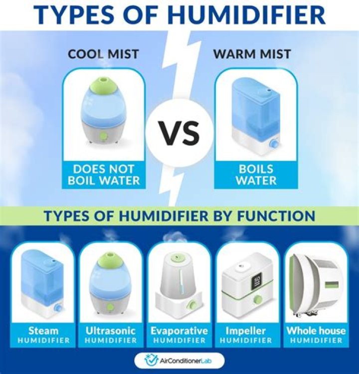 Do humidifiers help cats?