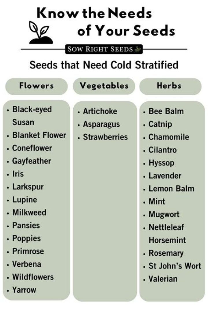 Do snapdragon seeds need stratification?