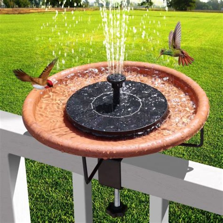 Do water fountains attract birds?