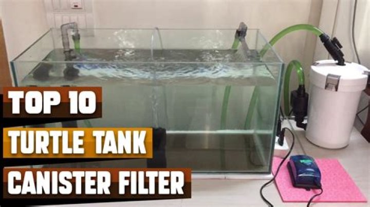 Do you have to have a filter for a turtle?