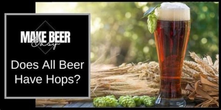 Does all beer have hops?