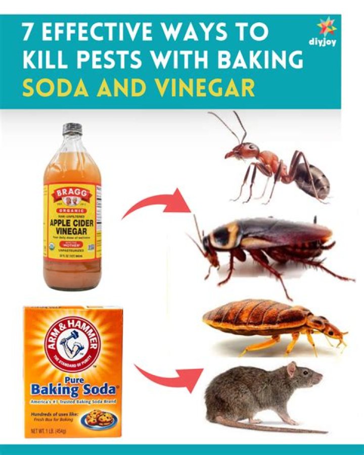 Does baking soda kill bugs on plants?