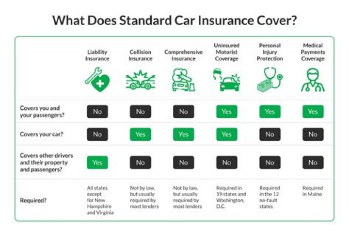 Does car insurance cover mold?
