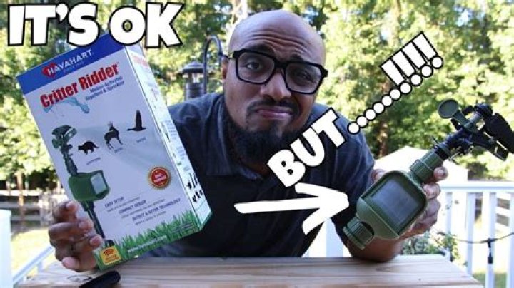 Does Critter Ridder work on mice?