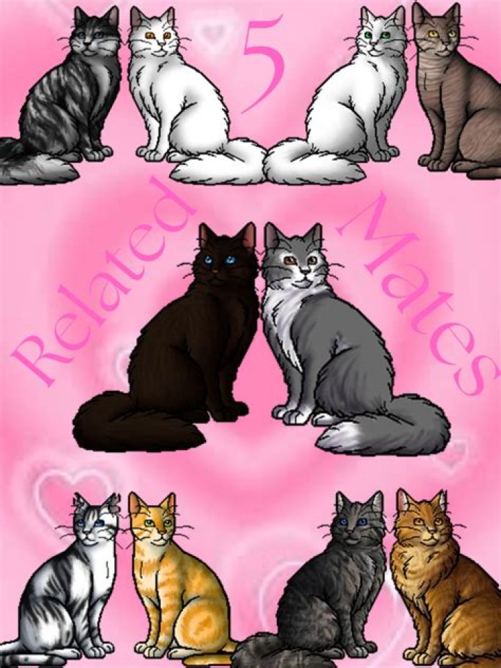 Does Hollyleaf have a mate?