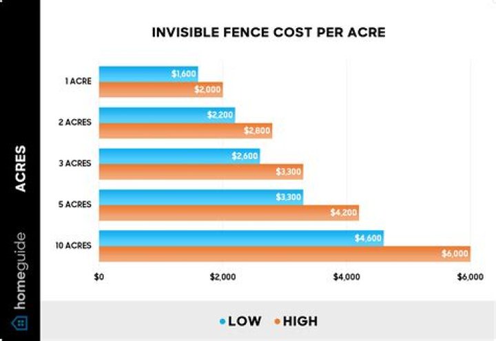 Does Invisible Fence offer financing?