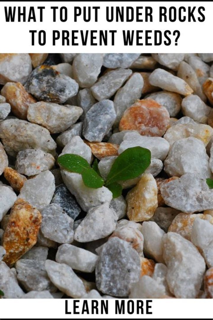 Does lava rock prevent weeds?