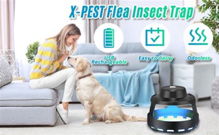 Does mosquito repellent work on gnats?