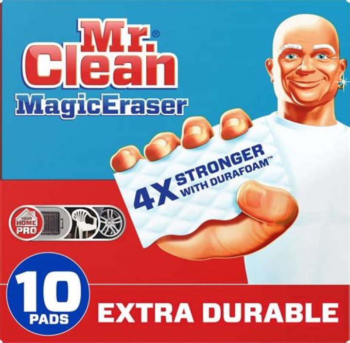 Does Mr Clean remove mold?