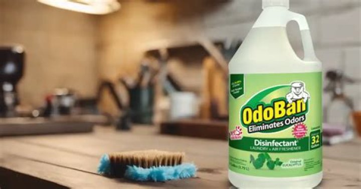 Does Odoban kill mold?