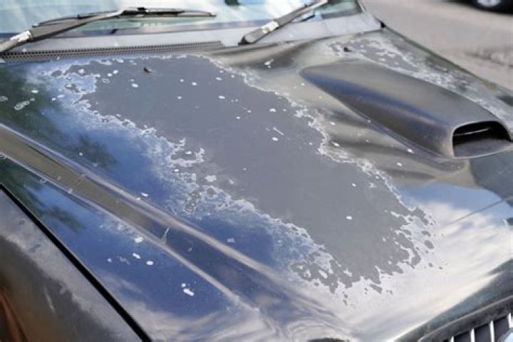 Does oven cleaner damage car paint?