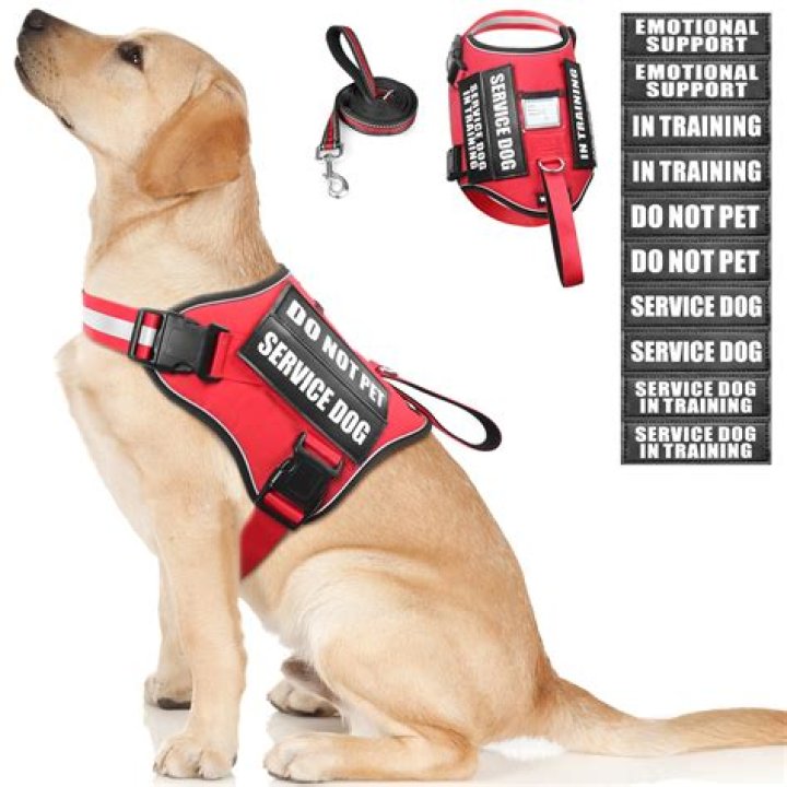 Does PetSmart carry service dog vests?