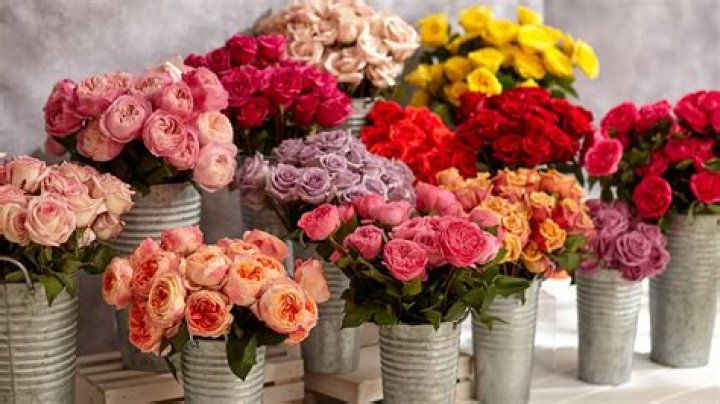 Does ProFlowers refund?