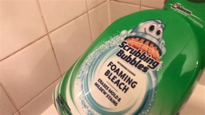 Does Scrubbing Bubbles kill mold?