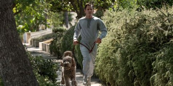 Does Six-Thirty the Dog Die in Lessons in Chemistry?