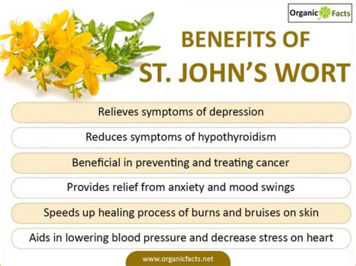 Does St John’s Wort increase estrogen?