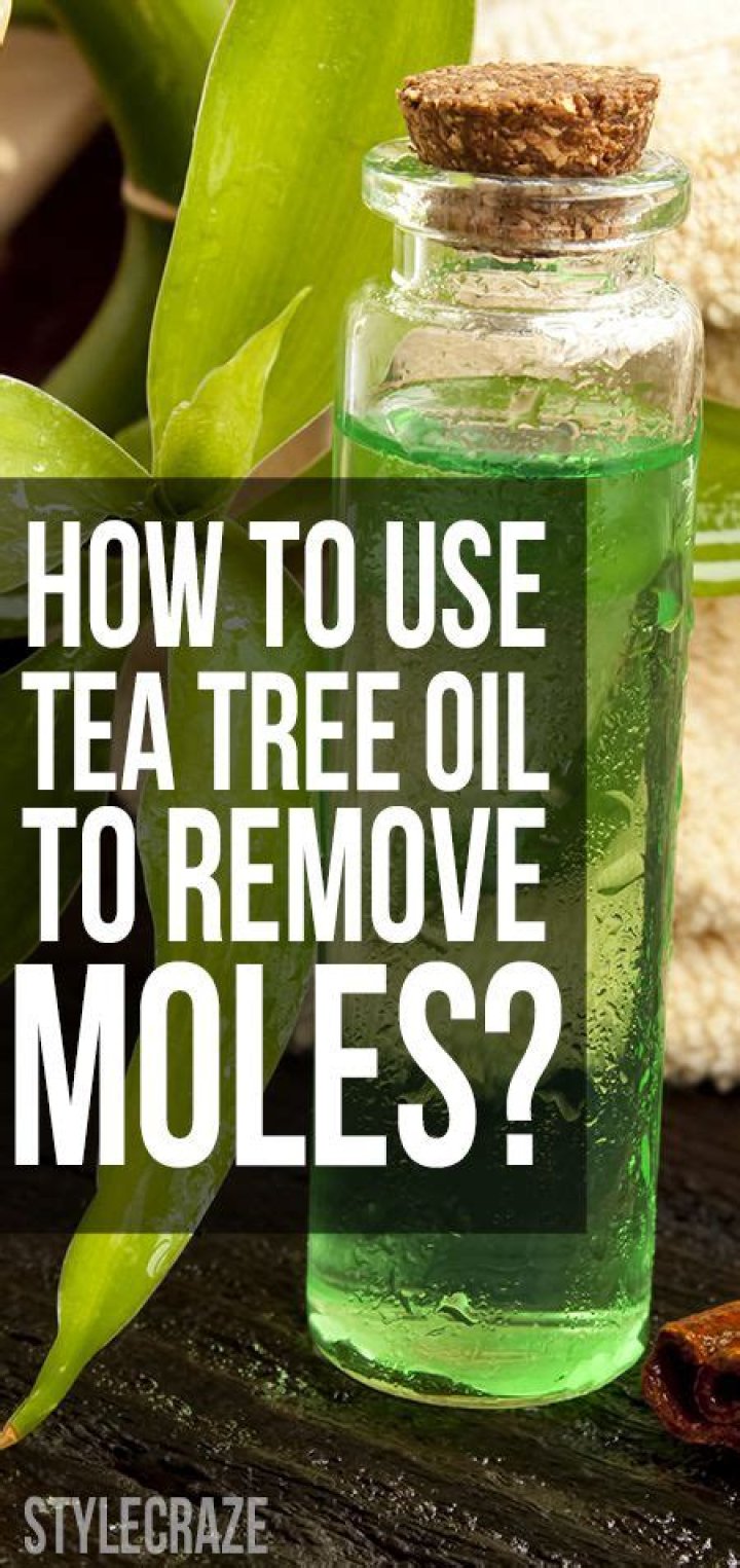 Does Tea Tree Oil remove Mould?
